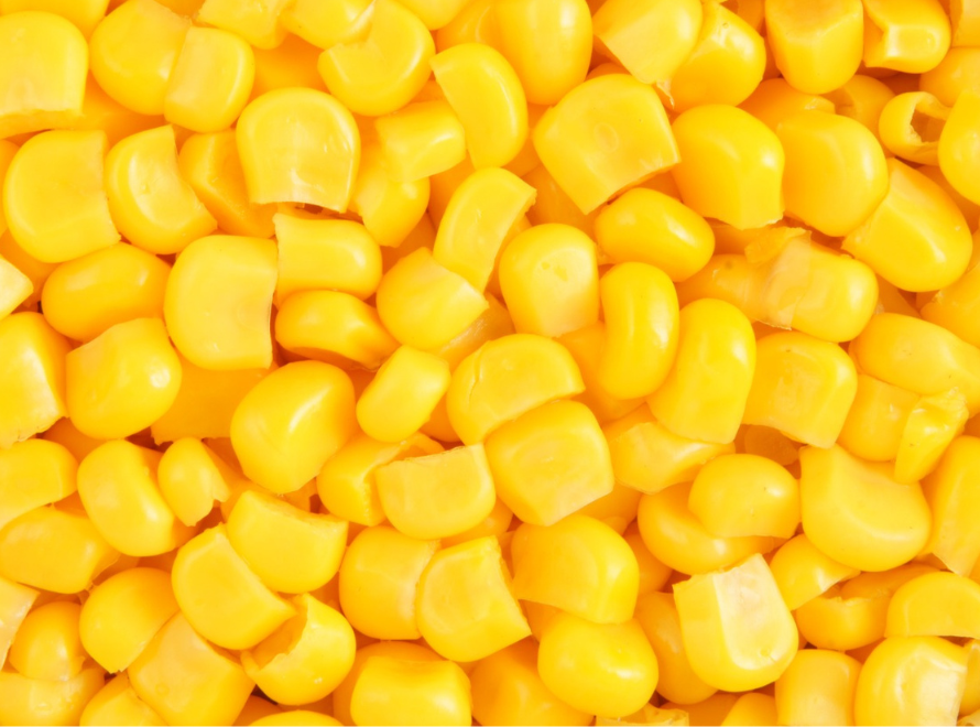 Frozen Sweet Corn Premium Quality
